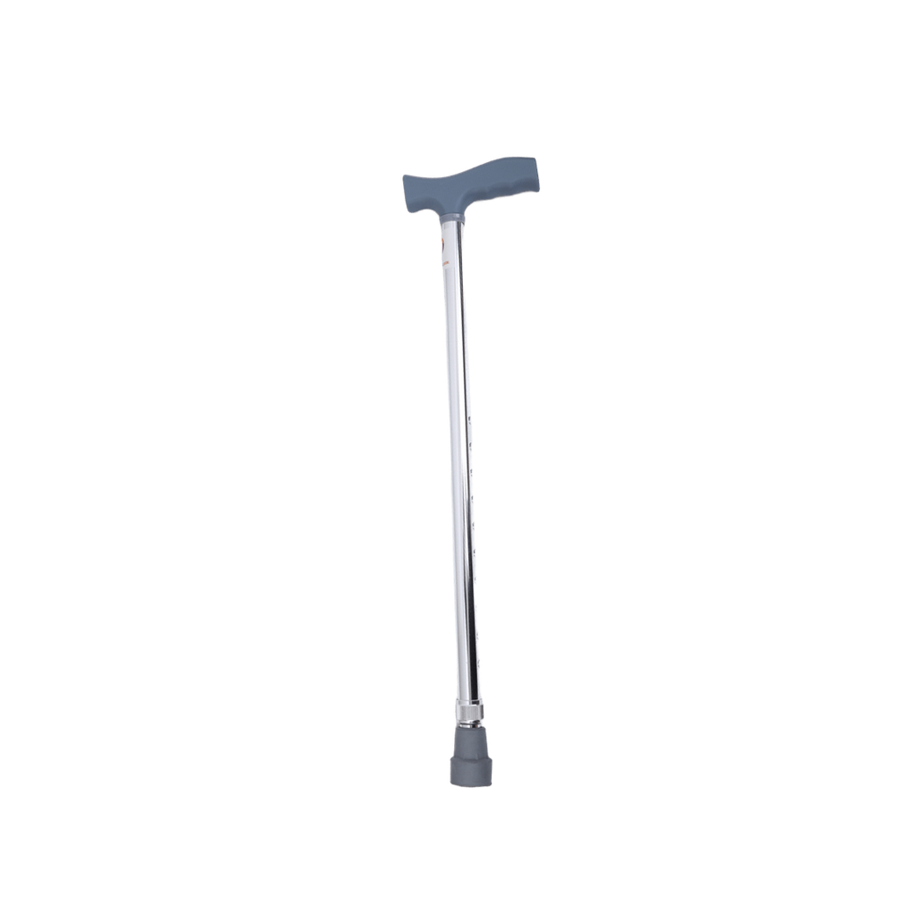 [1217353] Waking Stick Bright colour QK920L ���DY199 Qattan